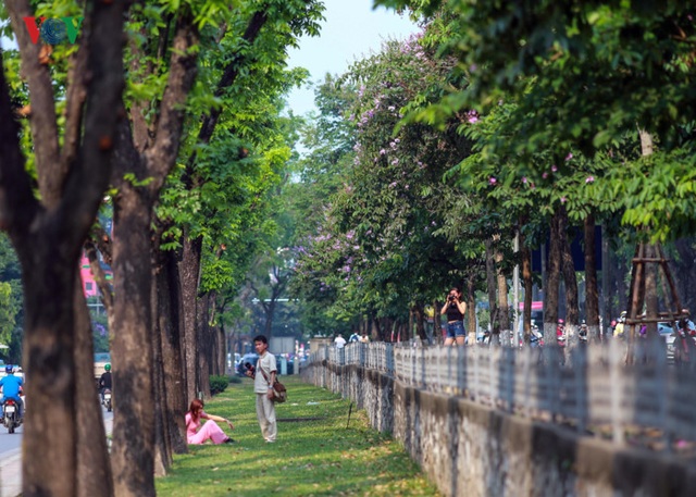 Những tuyến phố có hàng cây rợp bóng mát đẹp nhất Hà Nội - 16 ...cũng là 1 trong những địa điểm chụp ảnh ưa thích của giới trẻ.