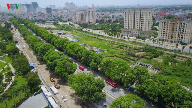 Những tuyến phố có hàng cây rợp bóng mát đẹp nhất Hà Nội - 19 Tuyến đường cũng có hàng cây đẹp, tán rộng nhất nhì Hà Nội.