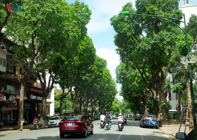 Những tuyến phố có hàng cây rợp bóng mát đẹp nhất Hà Nội - 5 Các tuyến phố xung quanh hồ Hoàn Kiếm như Hai Bà Trưng, Trần Hưng Đạo, Bà Triệu, Lý Thường Kiệt, Hàng Bài, Tràng Thi... cũng là những nơi có nhiều cây xanh tỏa bóng mát.