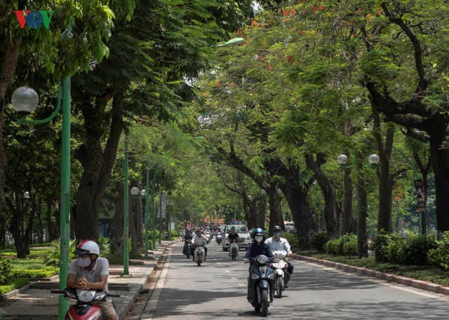 Những tuyến phố có hàng cây rợp bóng mát đẹp nhất Hà Nội - 6 Đường Thanh Niên, tên cũ là Cổ Ngư ngăn cách hồ Tây và hồ Trúc Bạch nơi có hàng Phượng Vĩ ra hoa sặc sỡ sắc đỏ khi hè đến.