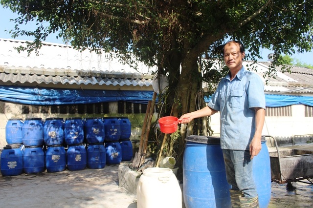 Trong quá trình chăn nuôi, ông Thục đưa thêm men vi sinh chủng EM trộn vào thức ăn của lợn để tăng cường hấp thụ chất