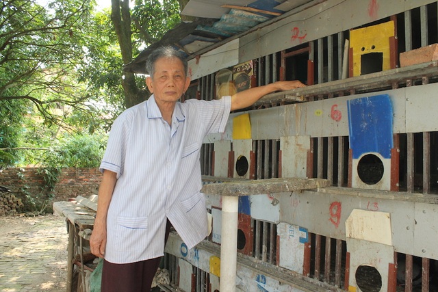 “Không khen thưởng vụ khui 3.000 hồ sơ giả là quá vô lý!” - 1 Ông Nguyễn Công Uẩn nuôi chim bồ cầu để có kinh phí tố cáo tham nhũng (Ảnh: V.L)