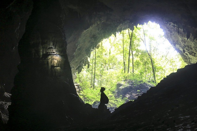 Đưa 3 hang động ở “vương quốc hang động” Phong Nha vào khai thác - 6 Vẻ đẹp huyền ảo trong hang Over