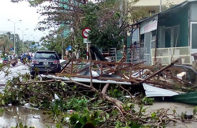 Hàng cây chống bão ven biển Nha Trang “đổ rạp” trước bão số 12 - 5 Đường Phạm Văn Đồng ven biển Nha Trang tan hoang sau bão số 12