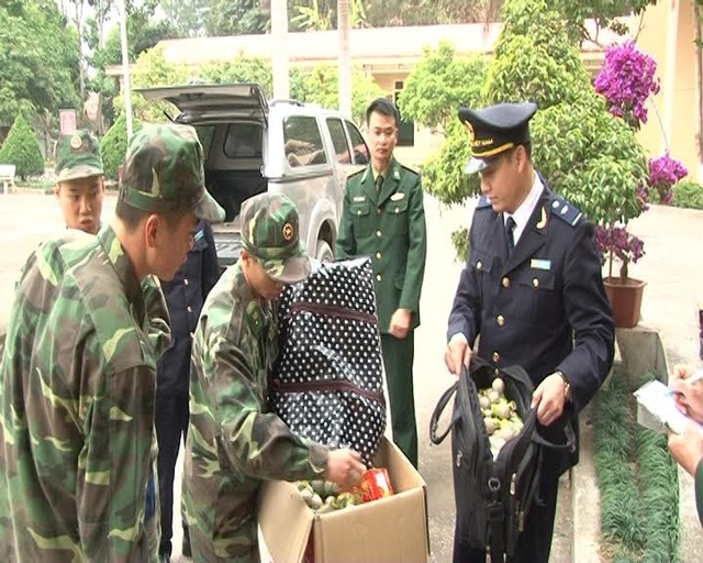 Bắt giữ 55 kg pháo nổ hình lựu đạn - 1
Số pháo nổ bị lực lượng chức năng thu giữ