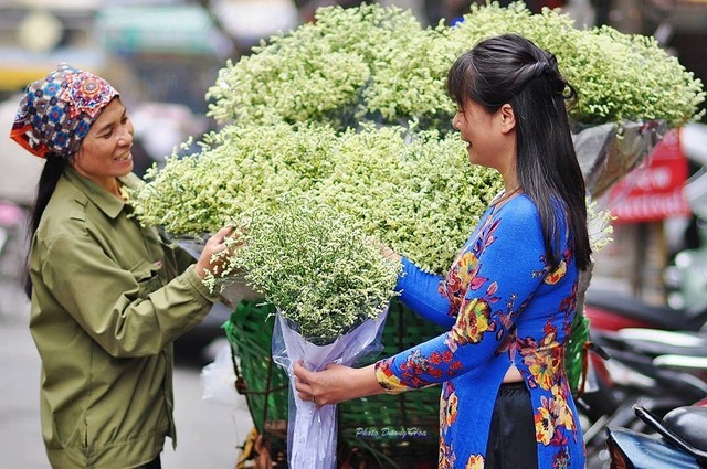 Hoa sao khô tẩm phẩm màu độc hại 'bung lụa' dịp Tết Đinh Dậu 2017 | Báo Dân  trí