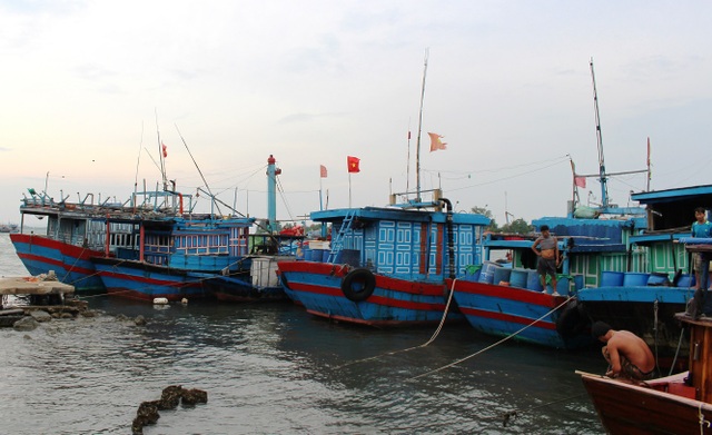Ngư dân tìm nơi trú ẩn an toàn, tranh thủ bán cá - 2
Ngư dân Quảng Nam cho tàu vào trú ATNĐ ở cảng cá An Hòa