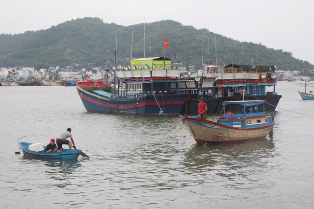 Phó Thủ tướng vào Phú Yên chỉ đạo công tác chống bão số 12 - 4 Phó Thủ tướng vào Phú Yên chỉ đạo công tác chống bão số 12 - 4