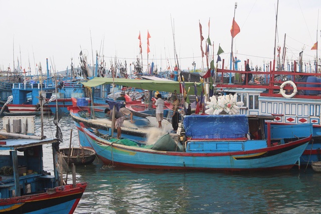Phó Thủ tướng vào Phú Yên chỉ đạo công tác chống bão số 12 - 5 Ngư dân thu dọn ngư lưới cụ trước cơn bão đổ bộ