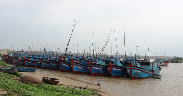 Từ 19 giờ tối nay ngày 18/11 Phú Yên cấm tàu thuyền ra khơi.