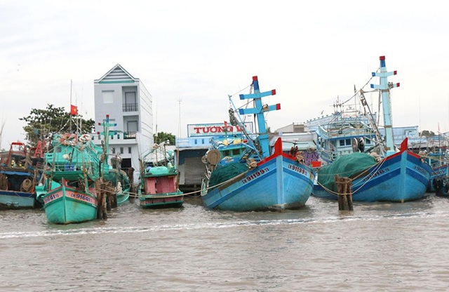 Bão không vào đất liền, dân tránh bão thở phào trở về nhà - 5 Riêng các phương tiện khai thác hải sản tiếp tục neo đậu tại nơi an toàn, chờ có bản tin cuối cùng của địa phương.