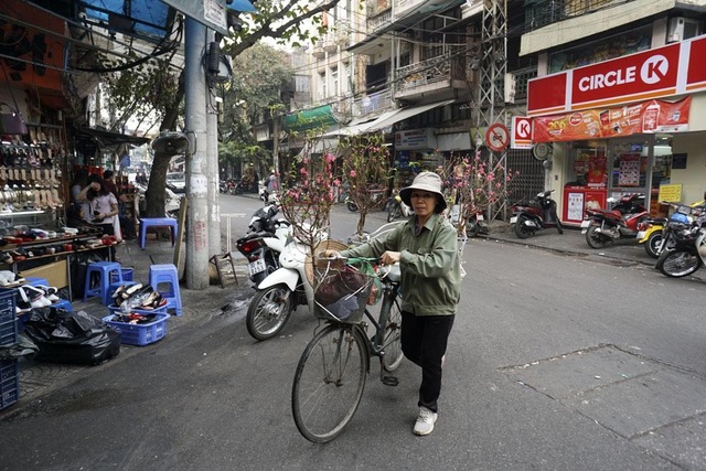Tết về theo những chuyến xe chở đào đi rong trên phố - 11 Những chuyến xe hoa mang không khí tết trong lòng phố cổ Hà Nội.