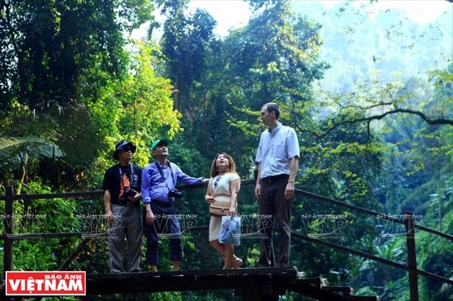 Khám phá vẻ đẹp hùng vĩ, thơ mộng và bí ẩn của Pù Mát - 12 Rừng nguyên sinh Pù Mát có hệ thực vật đa dạng, phong phú với gần 2.500 loài, thuộc 160 họ, trong đó có nhiều loài đặc hữu.