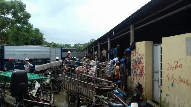 Giá lợn hôm nay 15/7: Giá vọt lên hơn 1 triệu đồng/tạ, lái buôn tới tận chuồng bắt lợn - 4
Thương lái tranh nhau chọn mua lợn hơi tại chợ lợn An Hội (Bình Lục - Hà Nam). Ảnh: Việt Tùng