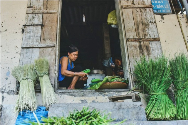  Những hạt cốm xanh thường được gói bằng là sen vì loại lá này giúp giữ mùi cốm. 