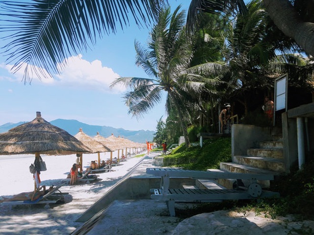 Ở Nha Trang có một bãi biển đẹp "thần sầu", chẳng kém gì Hawai - 6 Hàng dừa ngả bóng dài trên cát tạo một khung cảnh nên thơ