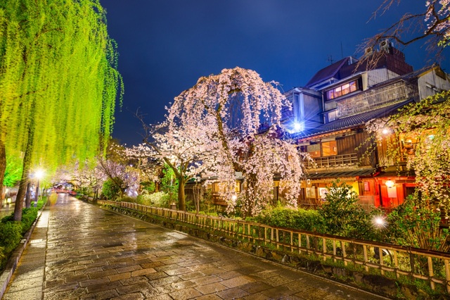Khám phá Nhật Bản qua 3 thành phố Tokyo, Kyoto và Nagoya - 2 Khám phá Nhật Bản qua 3 thành phố Tokyo, Kyoto và Nagoya - 2