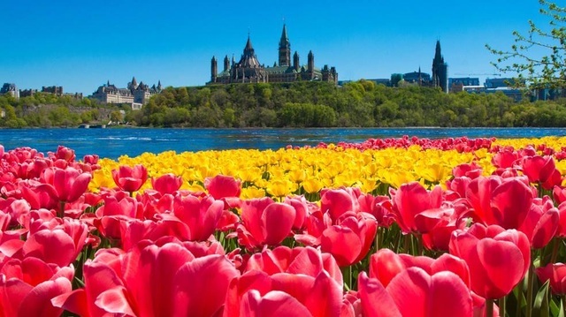 Du học Canada - Lựa chọn hàng đầu để đạt đến thành công - 2 Du học Canada - Lựa chọn hàng đầu để đạt đến thành công - 2
