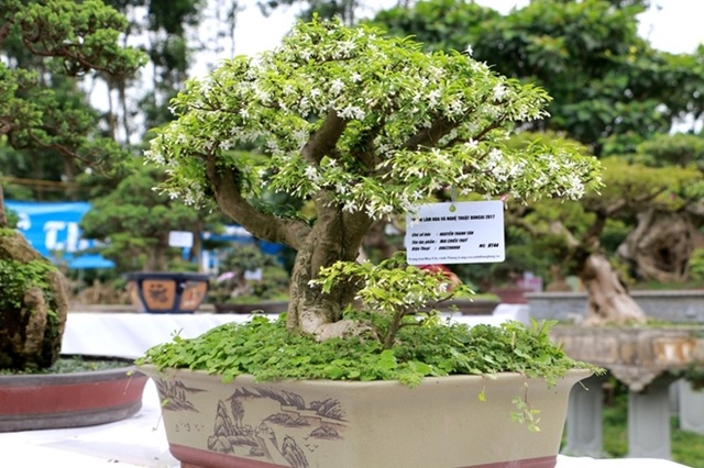 Điểm đến hấp dẫn cho người đam mê hoa hồng dịp 30/4 tại Hà Nội - 22 Điểm đến hấp dẫn cho người đam mê hoa hồng dịp 30/4 tại Hà Nội - 22