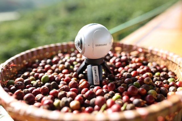Vẻ đẹp của những cánh đồng cà phê bạt ngàn, hành trình đổ mồ hôi trên đất đỏ và thành quả thơm ngát mùi rừng núi đã được đội của Phạm Hồng Phước ghi lại trọn vẹn qua ống kính không giới hạn của Gear 360.