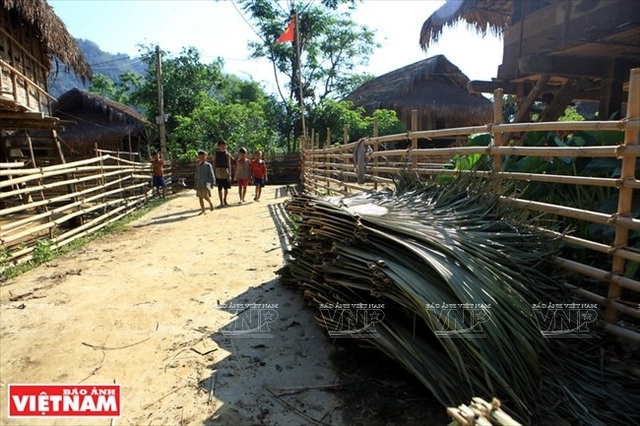 Khám phá vẻ đẹp hùng vĩ, thơ mộng và bí ẩn của Pù Mát - 4 Khám phá vẻ đẹp hùng vĩ, thơ mộng và bí ẩn của Pù Mát - 4