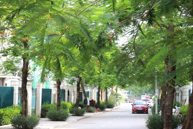 Nhà xinh, tặng gói nội thất thông minh - 3 Nhà xinh, tặng gói nội thất thông minh - 3