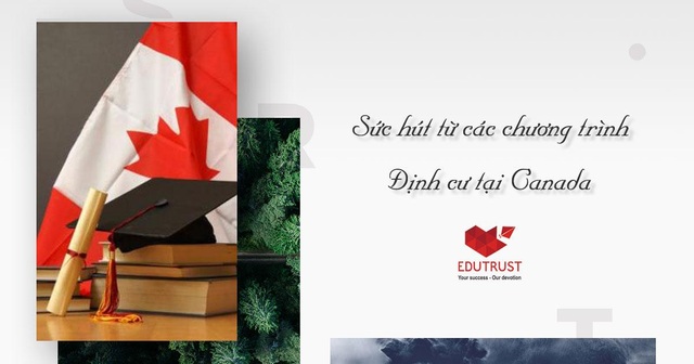Du học Canada - Chiến lược định cư hợp pháp cho học sinh Việt Nam - 3
Sức hút từ các chương trình định cư tỉnh bang đối với du học sinh năm 2017