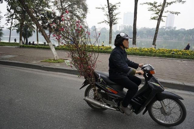 Tết về theo những chuyến xe chở đào đi rong trên phố - 4 Một chuyến xe chở đào đi qua hồ Gươm.