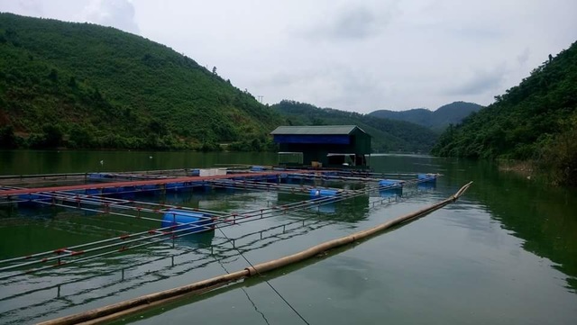 Vào thâm sơn cùng cốc, cảnh đẹp như tiên để nuôi cá sạch - 2 Nuôi các loại cá đặc sản đang được chú trọng phát triển