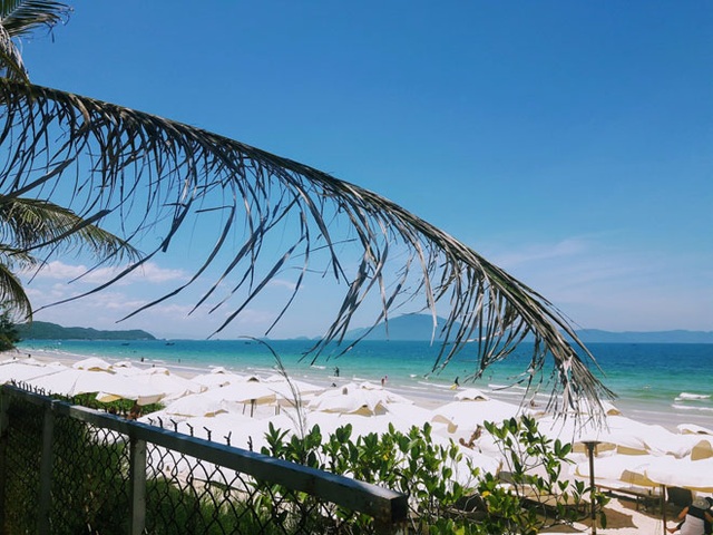 Ở Nha Trang có một bãi biển đẹp "thần sầu", chẳng kém gì Hawai - 2 Những chiếc ô trắng xòe rộng, nhấp nhô trên bờ biển