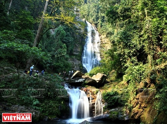 Khám phá vẻ đẹp hùng vĩ, thơ mộng và bí ẩn của Pù Mát - 9 Khám phá vẻ đẹp hùng vĩ, thơ mộng và bí ẩn của Pù Mát - 9