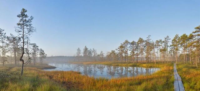 Tại sao lại gọi Estonia là viên ngọc bí ẩn của Đông Âu? - 8 Tại sao lại gọi Estonia là viên ngọc bí ẩn của Đông Âu? - 8