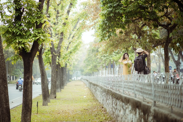 Con đường Kim Mã vào mùa cây thay lá, với những tán lá bằng lăng chuyển màu khiến cho khung cảnh đẹp như thước phim điện ảnh Hàn Quốc.