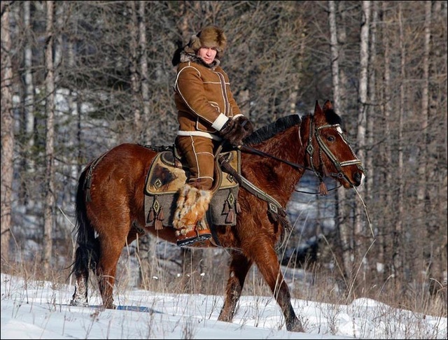 Tổng thống Putin nghỉ qua đêm trong rừng taiga - 1
Tổng thống Nga Vladimir Putin. (Ảnh: AFP)