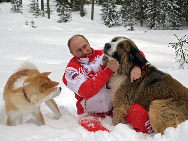 Tiết lộ thói quen sinh hoạt của Tổng thống Nga Vladimir Putin - 14
Ông Putin là người yêu động vật. Ông sở hữu một con chó Labrador đen 15 tuổi tên là Konni, một con giống Akita Nhật Bản tên là Yume và một con thuộc loài Karakachan tên là Buffy. (Ảnh: AP)