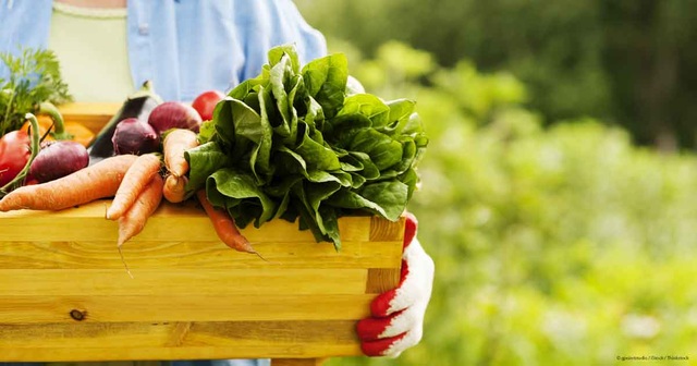 Những thực phẩm nào an toàn với trẻ? - 1 Những thực phẩm nào an toàn với trẻ? - 1