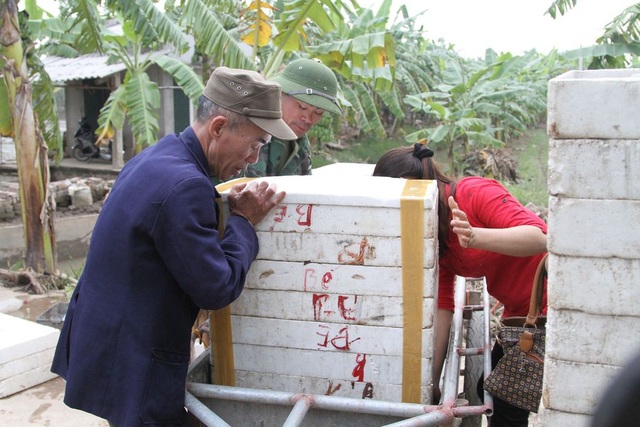 Đến mùa được lộc trời cho, người dân tháo cống cho rươi ùa vào - 5 Đóng thùng vận chuyển đến nơi tiêu thụ