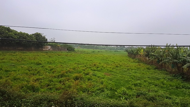 “Thủ phủ” nuôi lợn miền Bắc lao đao trong cơn “bão giá” - 6 Diện tích ruộng đồng bỏ hoang ở Ngọc Lũ là rất nhiều, người dân ở đây chủ yếu là chăn nuôi lợn