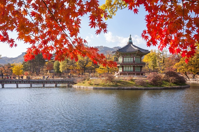 Những hành trình mùa thu châu Á được yêu thích nhất - 1
Cung điện Gyeongbokgung, Seoul, Hàn Quốc rực rỡ trong màu áo mùa thu.