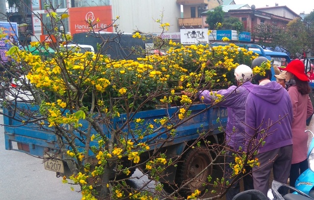 Chợ quê nhộn nhịp, người dân đội mưa mang hương sắc Tết về nhà - 2 Chợ quê nhộn nhịp, người dân đội mưa mang hương sắc Tết về nhà - 2