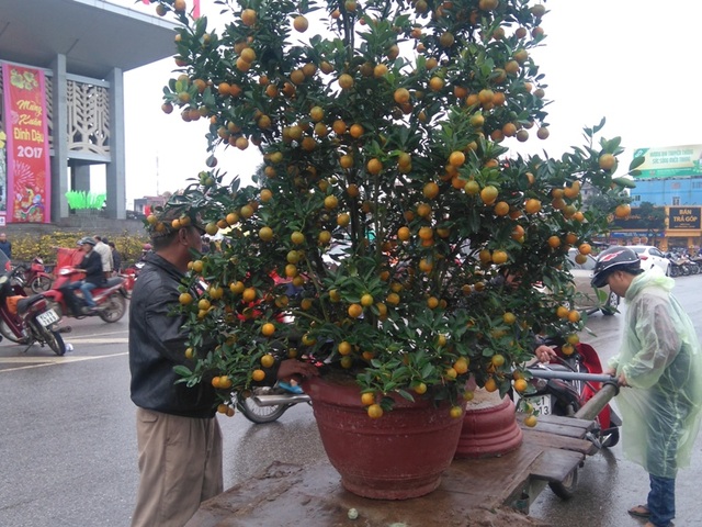 Chợ quê nhộn nhịp, người dân đội mưa mang hương sắc Tết về nhà - 3 Chợ quê nhộn nhịp, người dân đội mưa mang hương sắc Tết về nhà - 3