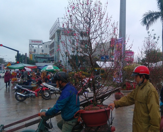Chợ quê nhộn nhịp, người dân đội mưa mang hương sắc Tết về nhà - 5 Chợ quê nhộn nhịp, người dân đội mưa mang hương sắc Tết về nhà - 5