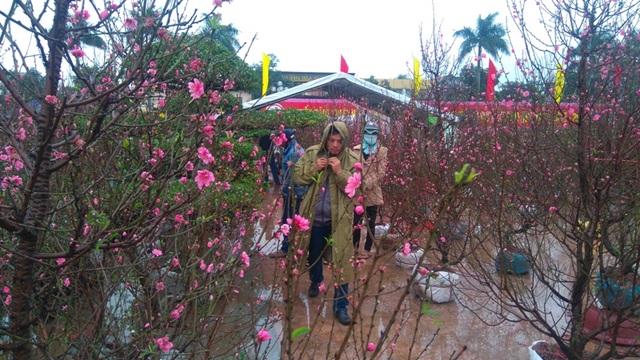 Chợ quê nhộn nhịp, người dân đội mưa mang hương sắc Tết về nhà - 6 Chợ quê nhộn nhịp, người dân đội mưa mang hương sắc Tết về nhà - 6