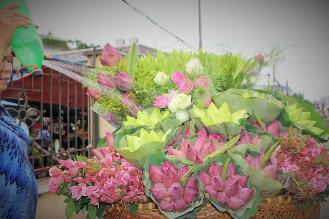 Sen đầu mùa “loạn” giá vẫn hút khách sành chơi - 4 Hoa sen nổi bật hơn so với các loài hoa khác nhờ vẻ đẹp thanh tao, giản dị.