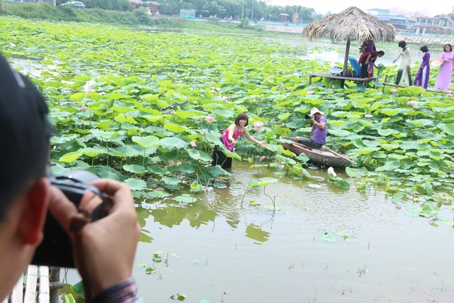 Hà Nội: Lội bùn chụp ảnh sen, phó nháy kiếm tiền triệu mỗi ngày - 2
Để được vào chụp cùng hoa sen, khách hàng phải bỏ ra từ 50 đến 100 nghìn mua vé. Bên cạnh đó, khách phải bỏ thêm tiền thuê áo dài, áo yếm và trả tiền công cho thợ chụp ảnh.