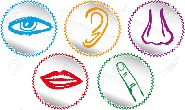 Những hiểu lầm lớn nhất về thế giới quanh ta - 2
