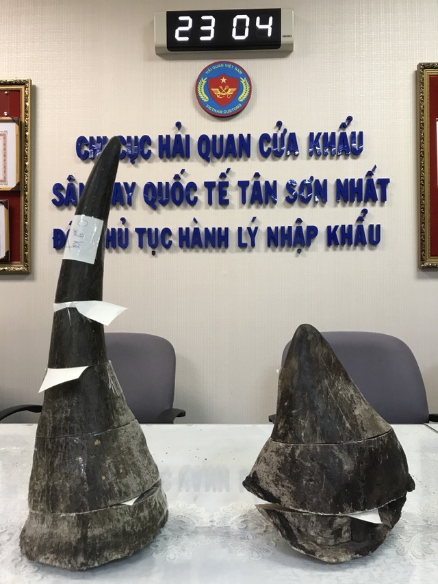 Giấu lô sừng tê giác trắng châu Phi trị giá 8 tỷ đồng trong hộp bánh quy - 4 Các khúc sừng sau khi được ghép lại