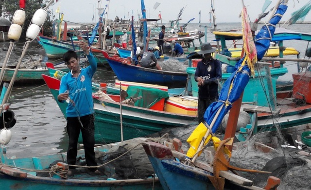 Vẫn còn 1.000 tàu thuyền trên biển, hơn 200 nghìn dân cần di dời trước bão 16 - 1
Kiên Giang hiện đã có 6.591 tàu thuyền trên địa bàn tỉnh đã về nơi tránh trú bão an toàn.