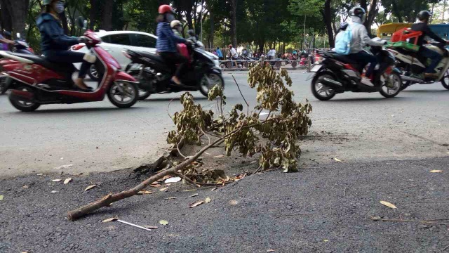 Bé gái 5 tuổi nhập viện vì mặt đường được tái lập ẩu - 1 Đơn vị thi công tái lập mặt đường Hoàng Minh Giám một cách sơ sài khiến người đi xe máy té ngã