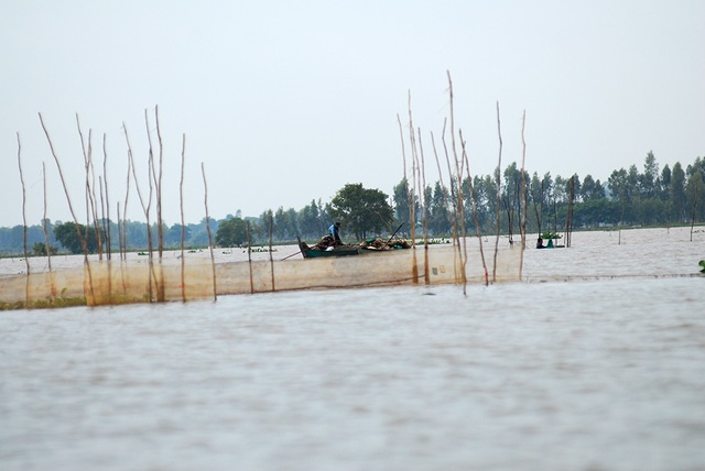 Từ trước lũ nhiều tháng, các vùng dân cư đầu nguồn đã chuẩn bị ghe thuyền, lưới để “săn” cá linh đầu mùa.
